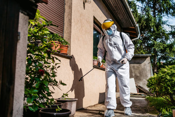 Best Flea Control Services  in Fayetteville, GA