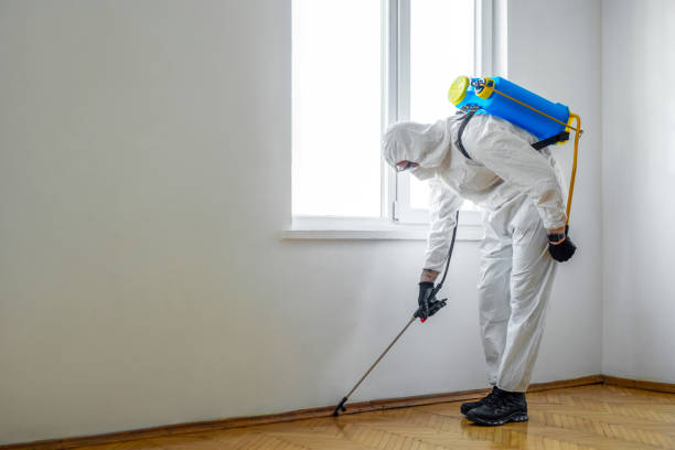 Trusted Fayetteville, GA Pest Control Experts