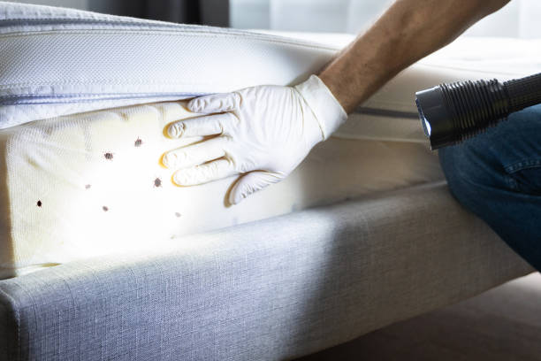 Best Exterminator Services  in Fayetteville, GA