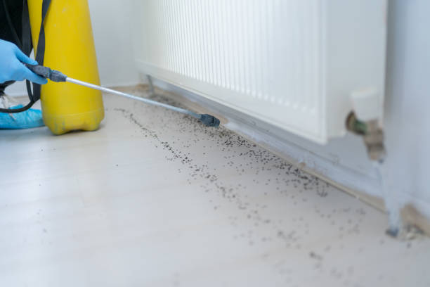 Best Best Pest Control Companies  in Fayetteville, GA
